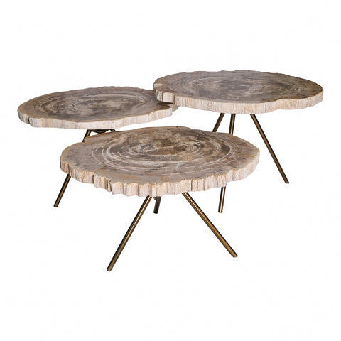 Nieuwe Khine salontafel van versteend hout, messing SV3