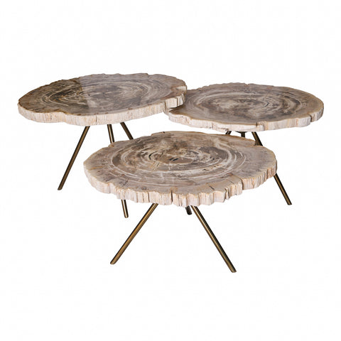 Nieuwe Khine salontafel van versteend hout, messing SV3