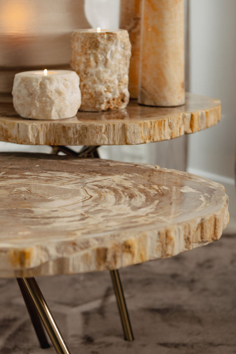 Nieuwe Khine salontafel van versteend hout, messing SV3