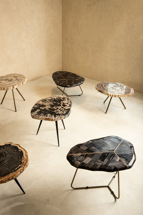 Nieuwe Khine salontafel van versteend hout, messing SV3