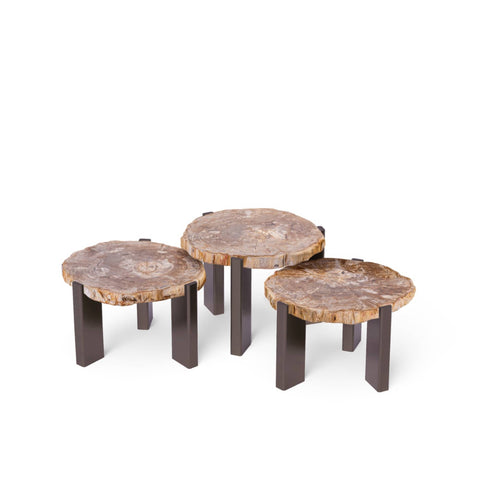 Rudi salontafel van natuurlijk versteend hout, nikkel SV3
