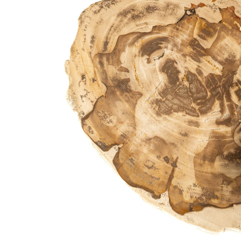 Jisse natuurlijk versteend hout bijzettafel met gedraaide basis