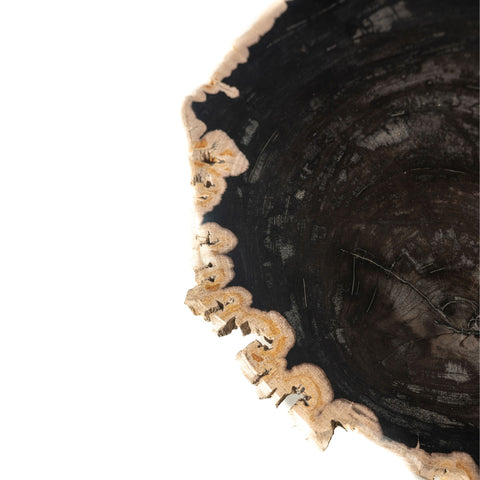 Jisse zwarte zijtafel van versteend hout met twist-onderstel