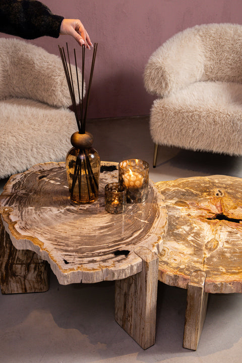 Kayo salontafel van natuurlijk versteend hout, driepoot, hoog