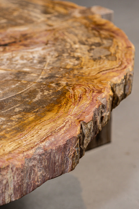 Kayo salontafel van natuurlijk versteend hout, driepoot, hoog