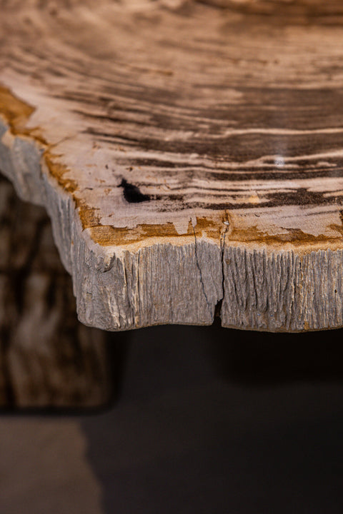 Kayo salontafel van natuurlijk versteend hout, driepoot, hoog