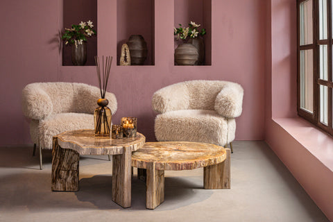 Kayo Natuurlijk Versteend Hout Salontafel, Laag, 3 Poten