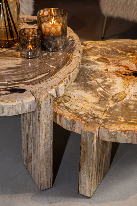 Kayo Natuurlijk Versteend Hout Salontafel, Laag, 3 Poten