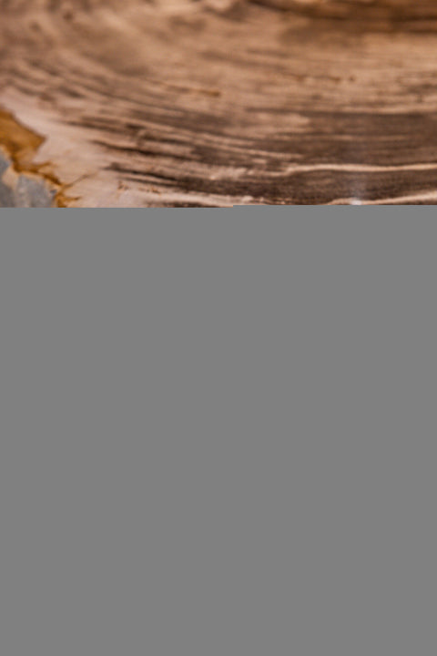 Kayo Natuurlijk Versteend Hout Salontafel, Laag, 3 Poten