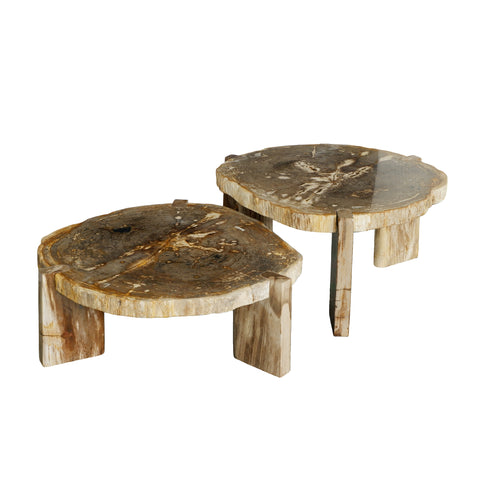 Kayo Natuurlijk Versteend Hout Salontafel, Laag, 3 Poten