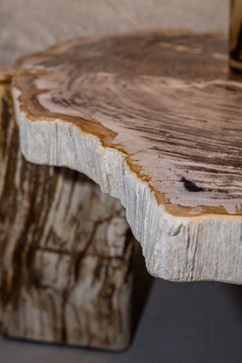 Kayo Natuurlijk Versteend Hout Salontafel, Laag, 3 Poten