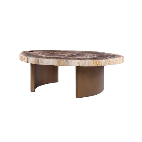 Yoel naturel salontafel van versteend hout met messing onderstel