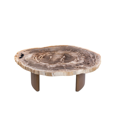 Yoel naturel salontafel van versteend hout met messing onderstel
