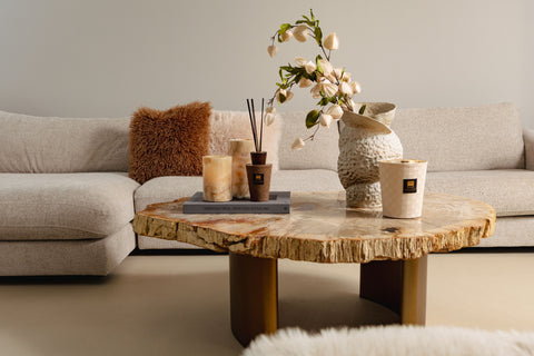 Yoel naturel salontafel van versteend hout met messing onderstel