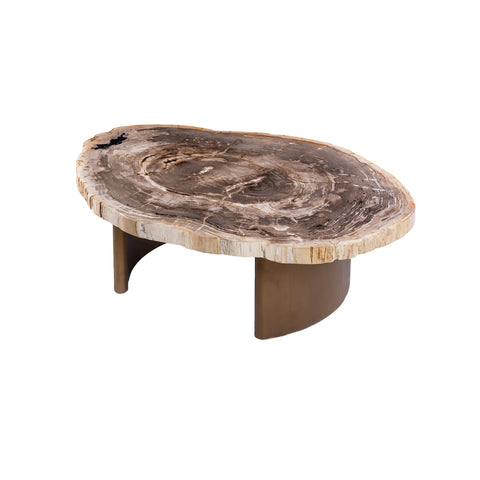 Yoel naturel salontafel van versteend hout met messing onderstel