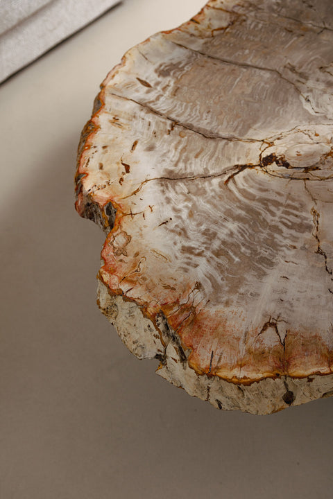 Yoel naturel salontafel van versteend hout met messing onderstel