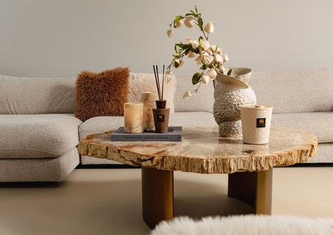 Yoel naturel salontafel van versteend hout met messing onderstel